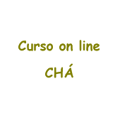 Curso On Line de Servio de Ch
